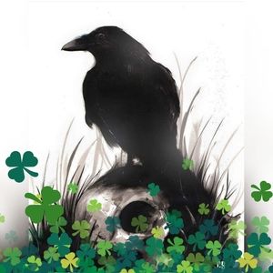 Meet your Posher, Suzanne